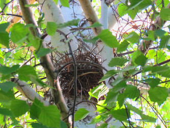 Similar image 1315791