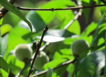 Similar image 1315797