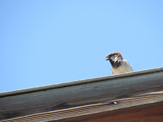 Similar image 1315800