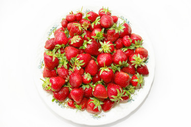 Similar image 1315825