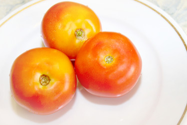 Similar image 1315830