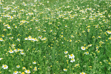 Similar image 1315831