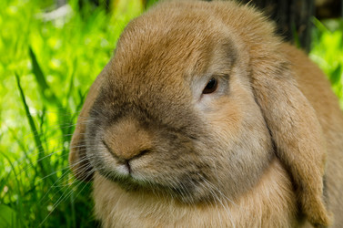 Similar image 1315859