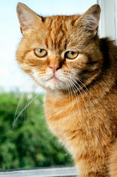 Similar image 1315860