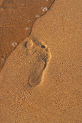 Similar image 1315879