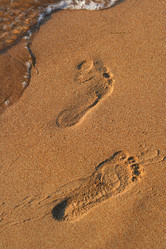 Similar image 1315880