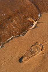 Similar image 1315881