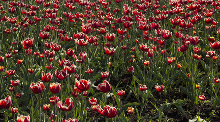 Similar image 1315921