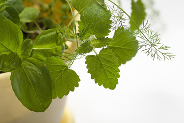 Similar image 1316068