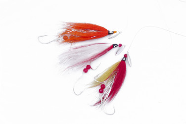 Similar image 1316368