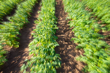 Similar image 1316380