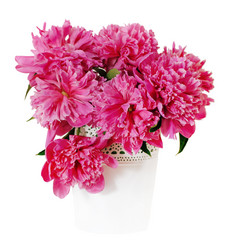 Similar image 1316383