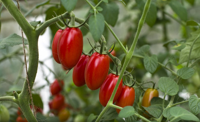 Similar image 1316396