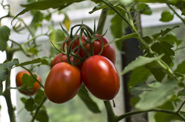 Similar image 1316399