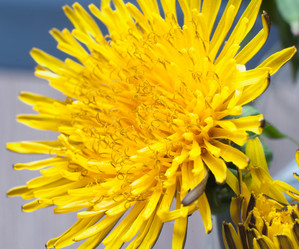 Similar image 1316465