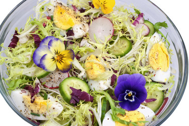 Similar image 1316496