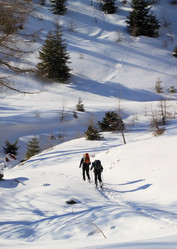 Similar image 1316497