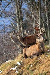 Similar image 1316498