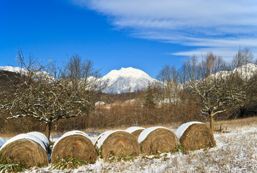 Similar image 1316501