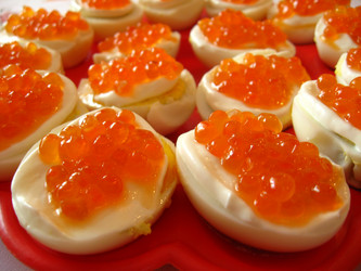 Similar image 1316508