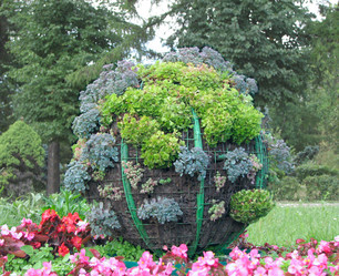 Similar image 1316522