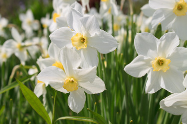 Similar image 1316523