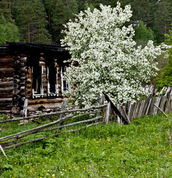 Similar image 1316573