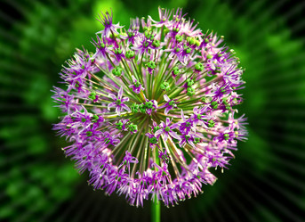 Similar image 1316583