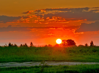 Similar image 1316584