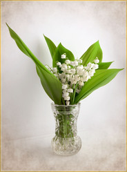 Similar image 1316585