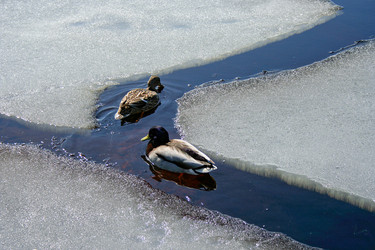 Similar image 1316611