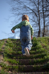 Similar image 1316627