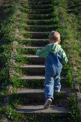 Similar image 1316631