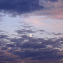 Similar image 1316645