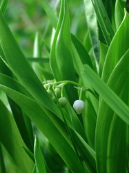 Similar image 1316646