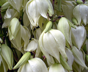 Similar image 1316682