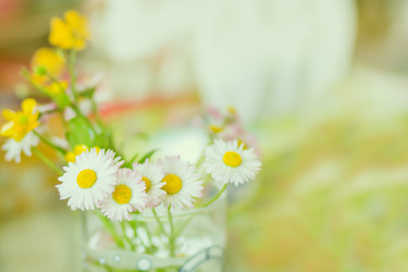 Similar image 1316707