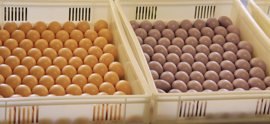 Similar image 1316709