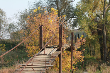 Similar image 1316722