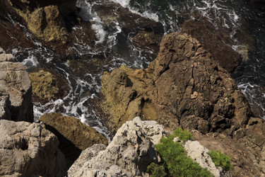 Similar image 1316724