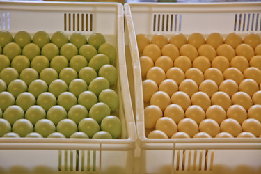 Similar image 1316728