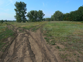 Similar image 1316763