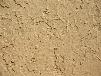 Similar image 1316767