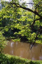 Similar image 1316804