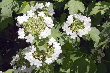 Similar image 1316805