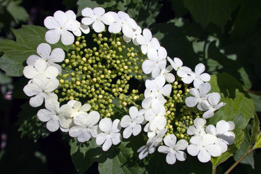 Similar image 1316806