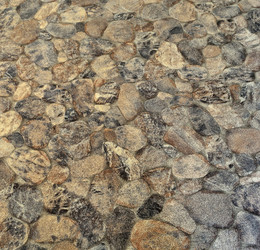 Similar image 1316816