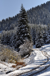 Similar image 1316875