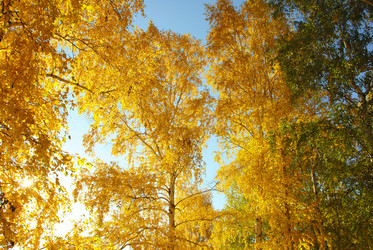 Similar image 1316886