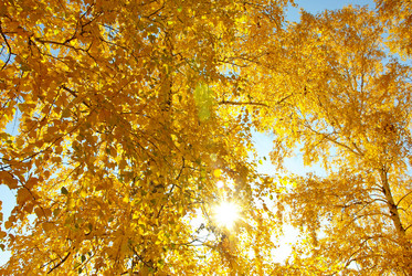 Similar image 1316887